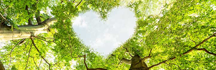 The Ireland Funds Heart of the Community Fund